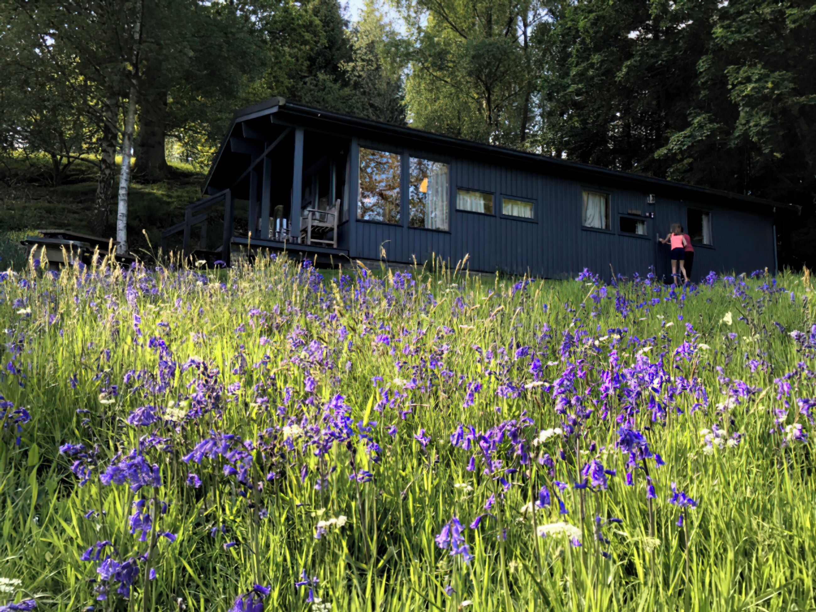 Een huis omringd door een veld paarse bloemen.