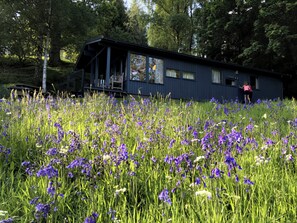 Exterior - Conifer Chalet 5 - UKC5219 (Crieff)