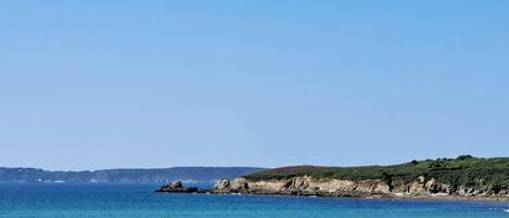 Vista desde la propiedad