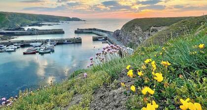 1 bedroom accommodation in Portknockie