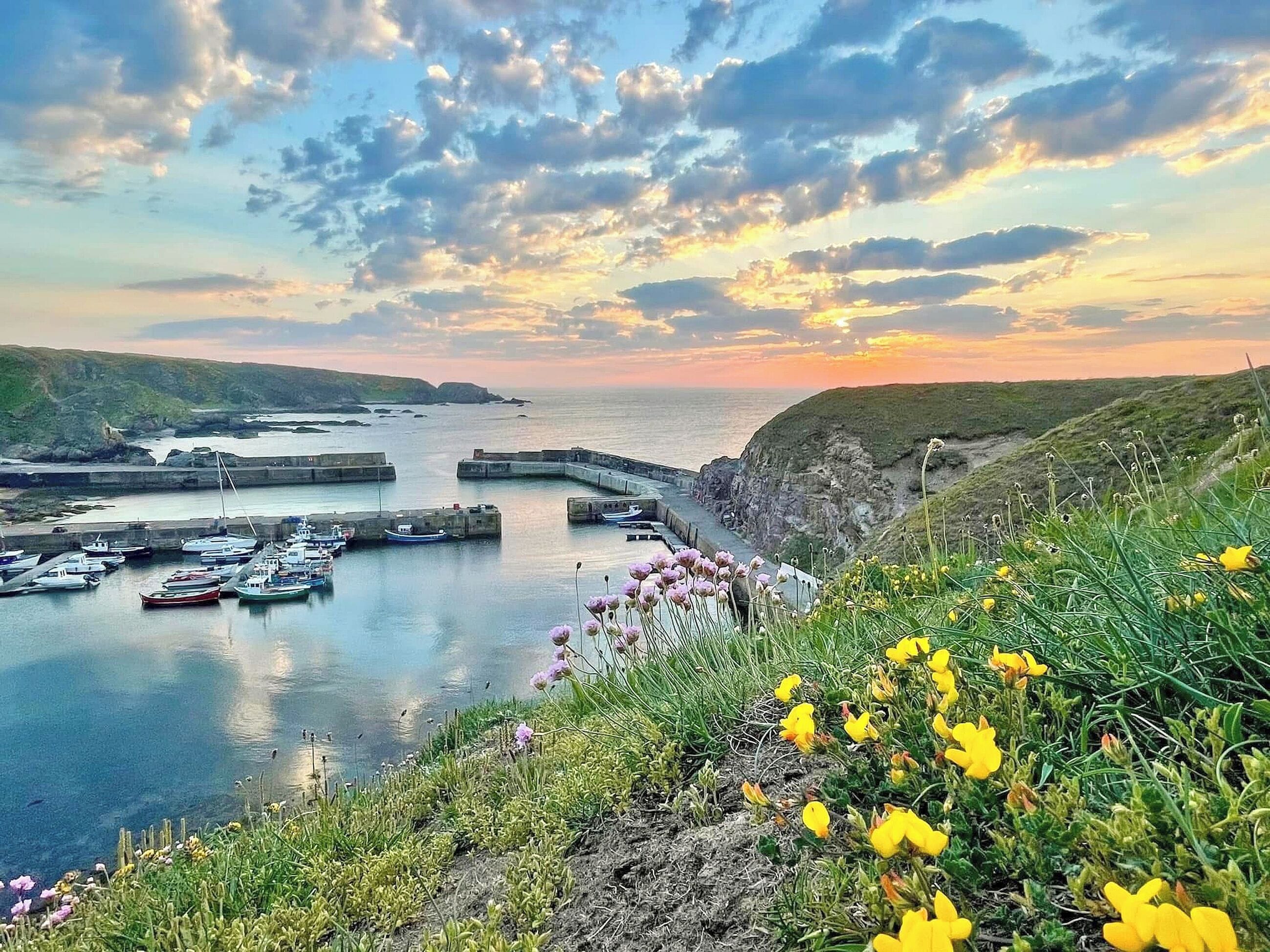 Overlooking Portknockie harbour | The Wee Fiddle, Portknockie
