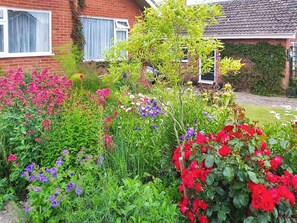 Property grounds - 1 bedroom accommodation in Weybourne (Weybourne)