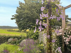 A garden with purple flowers, a wooden structure, and a green field in the background. - 1 bedroom accommodation in Weybourne (Weybourne)