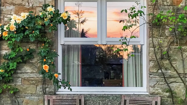 Un muro de piedra con una ventana, dos bancos de madera y plantas trepadoras.