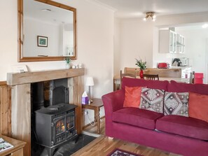 TV, fireplace - Gardeners Cottage - UK51548 (Auchterless)