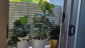 A sliding glass door leading to a patio with potted plants and a view of trees and a fence.