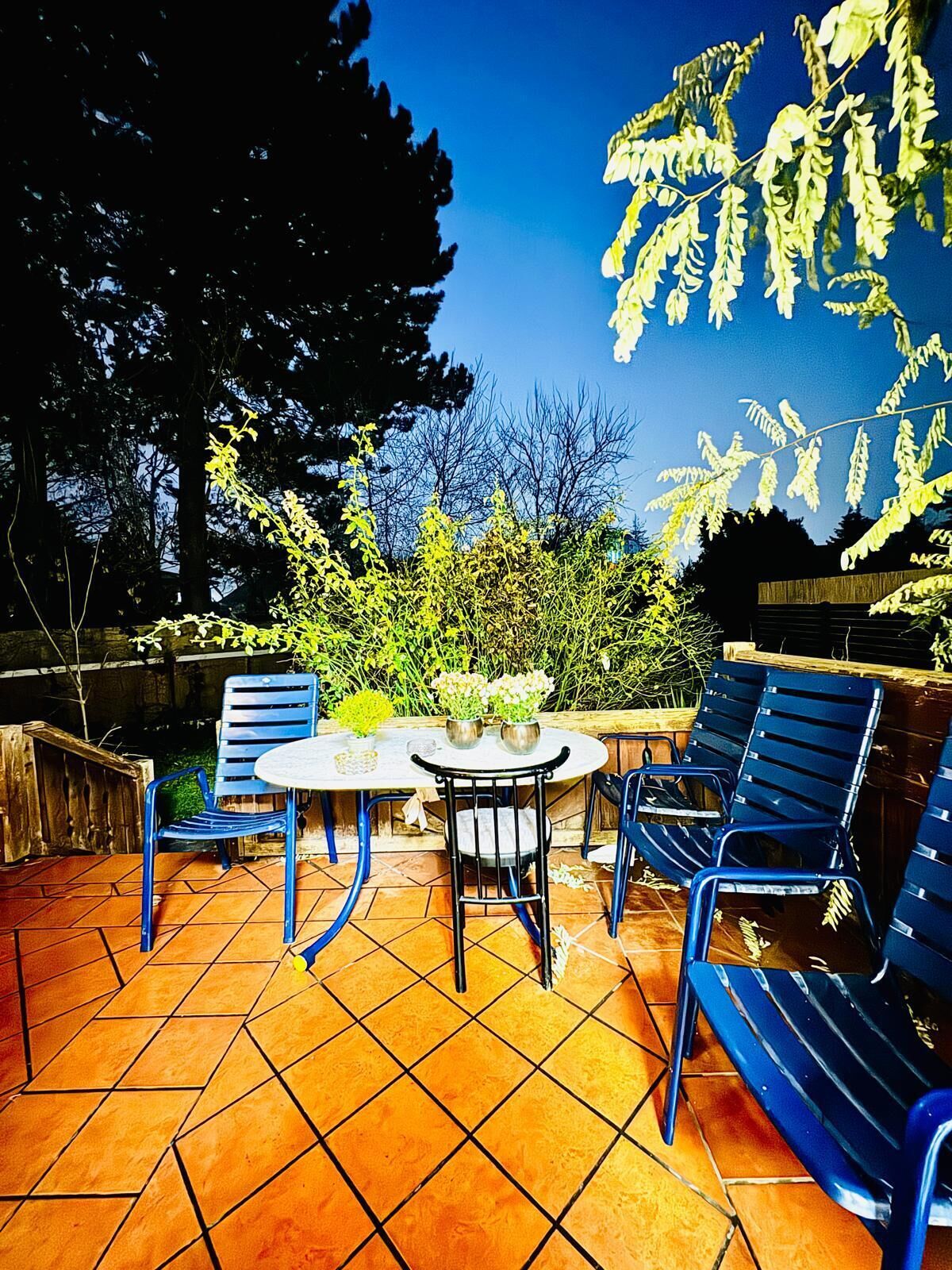 Rom – basic | Utendørsservering