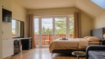Basic Room | Iron/ironing board, free WiFi