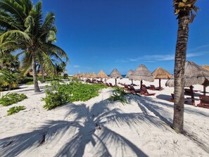 Ein Strand mit Palmen, Reetdachschirmen und Liegestühlen.