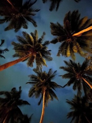 Miscellaneous - SeaSmile Beach Resort Koh Jum (Nuea Khlong)