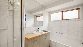 Shower, hair dryer