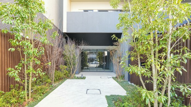 A narrow concrete pathway flanked by greenery and a modern building with a flat roof. - Dash Living Asakusa South (Tokyo)