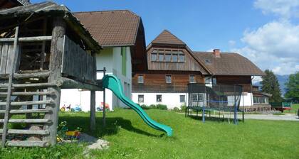 Schladming Dachstein group house for up to 35 people Ski IN/Out in a dream location!