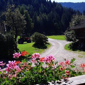 Property grounds - Schladming Dachstein group house for up to 35 people Ski IN/Out in a dream location! (Aich)