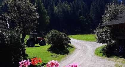 Schladming Dachstein group house for up to 35 people Ski IN/Out in a dream location!