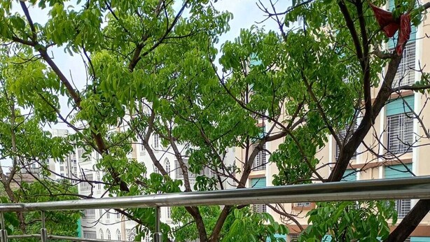 A balcony with metal railings overlooking a street with trees and buildings. - The Executive Suites (Barasat)