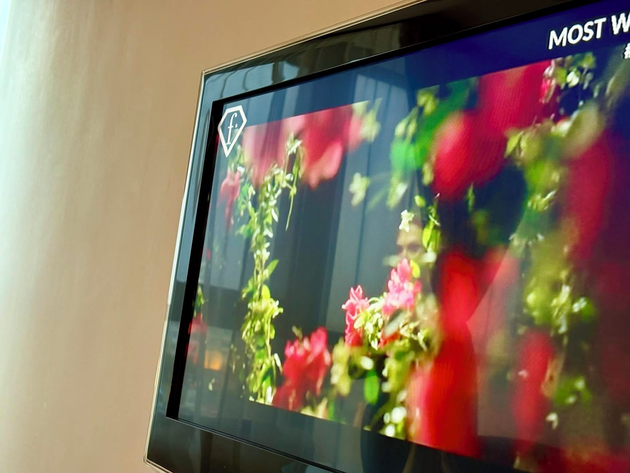 Un écran de télévision affichant une image floue de fleurs.