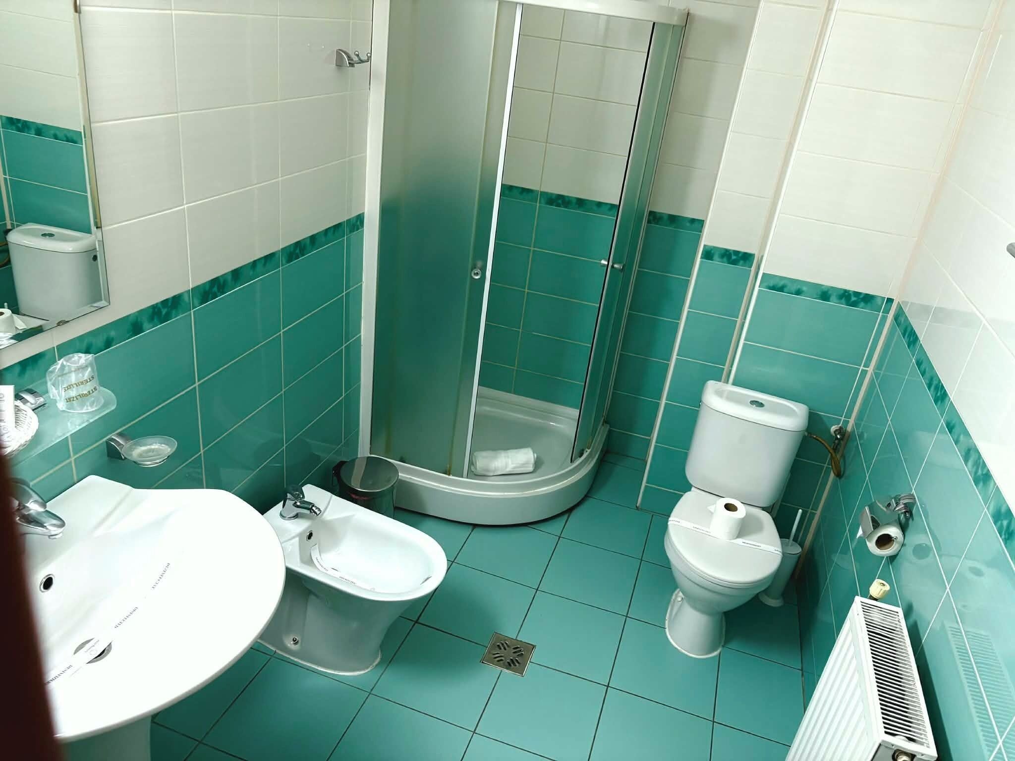 A bathroom with a shower, toilet, bidet, and sink.
