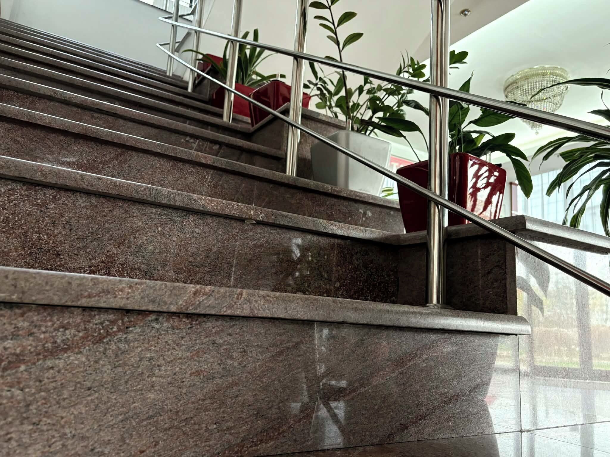 Una escalera con barandilla de metal y plantas en macetas.