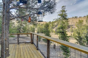 Terrace/patio - 'Mystic Treehouse' on 35 Acres Near Hartsel (Hartsel)