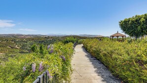 Un sentier qui traverse un vignoble, avec un kiosque et des montagnes qui se dessinent à l’horizon.