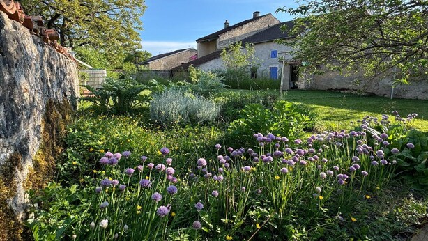 A stone wall, a garden with purple flowers, and a building with a blue door. - Charming and comfortable holiday home in Melay (Melay)