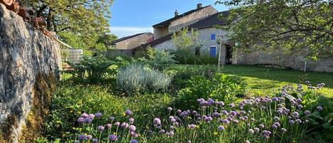 Jardines del alojamiento