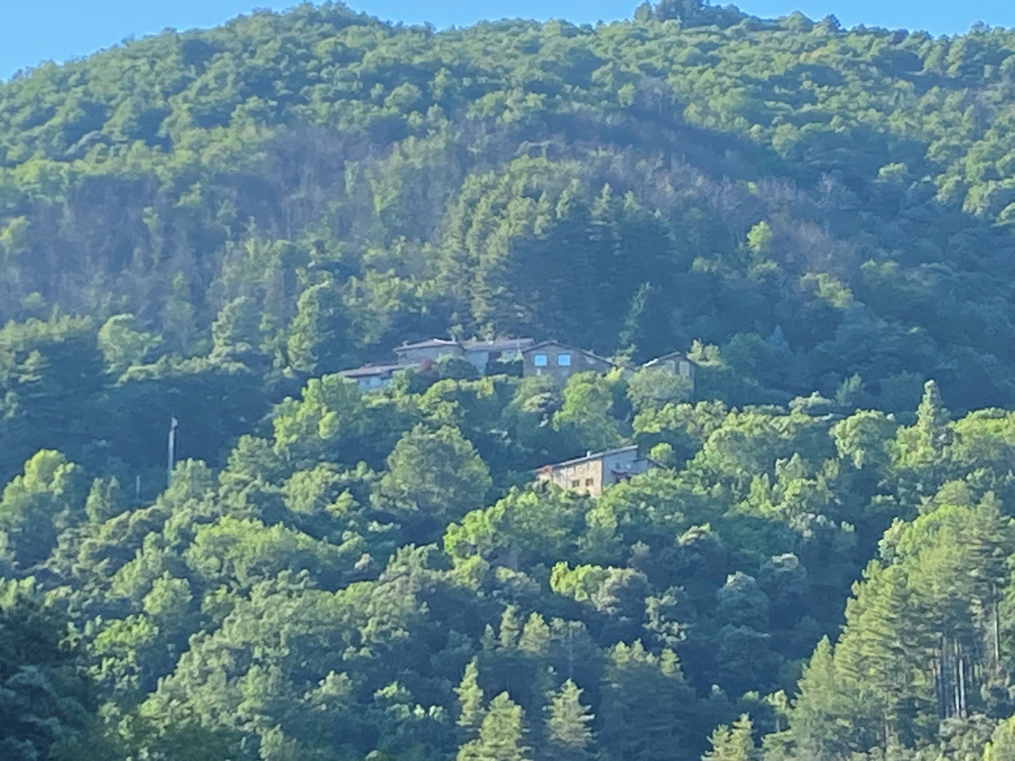 Un conjunto de edificios rodeado de un bosque denso en una ladera.