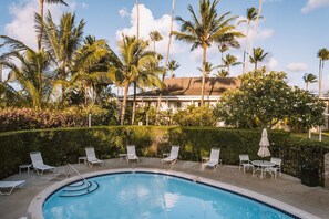 Pool - Walking Distance from Papaloa Beach, Outdoor Pool, Free Parking, Full Kitchen! (Kapaʻa)