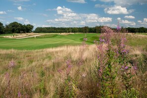 Golf - Wellness Villa with Private Spa (Oosterhout)