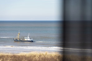 Region [summer] (>5 km) - Luxury North Sea Retreat with Garage (Egmond aan Zee)