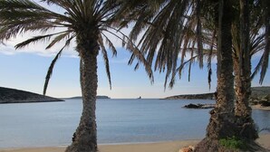 Una playa con palmeras y agua tranquila.