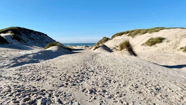 A sandy beach with dunes and a clear sky. - Modern Coastal Retreat with Garden (Sint Maarten)