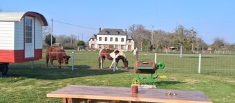 Josey Wood Ranch unusual accommodation A unique western experience