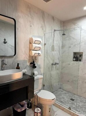 Chuveiro, secador de cabelo, papel higiênico 