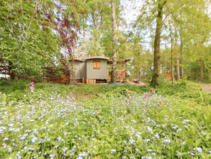 Property grounds - Bracken Fern, Eppleby (Richmond)