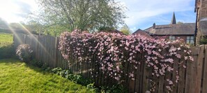 Ein Holzzaun mit rosa blühenden Pflanzen.