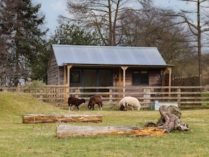 A rustic cabin with a metal roof, wooden exterior, and large windows. - Beech Tree Cabin, Market Weighton (York)