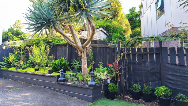 A residential garden with a variety of plants, a wooden fence, and a house in the background. - Sunny 3BR Home - Close to Essentials & Transport (Auckland)