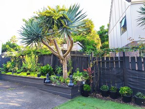 A residential garden with a variety of plants, a wooden fence, and a house in the background.
