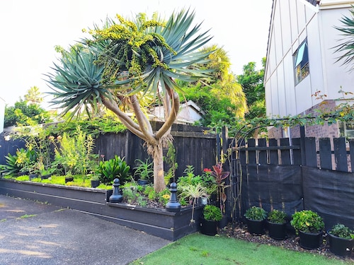 Sunny 3BR Home - Close to Essentials & Transport
