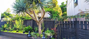 Sunny 3BR Home - Close to Essentials & Transport