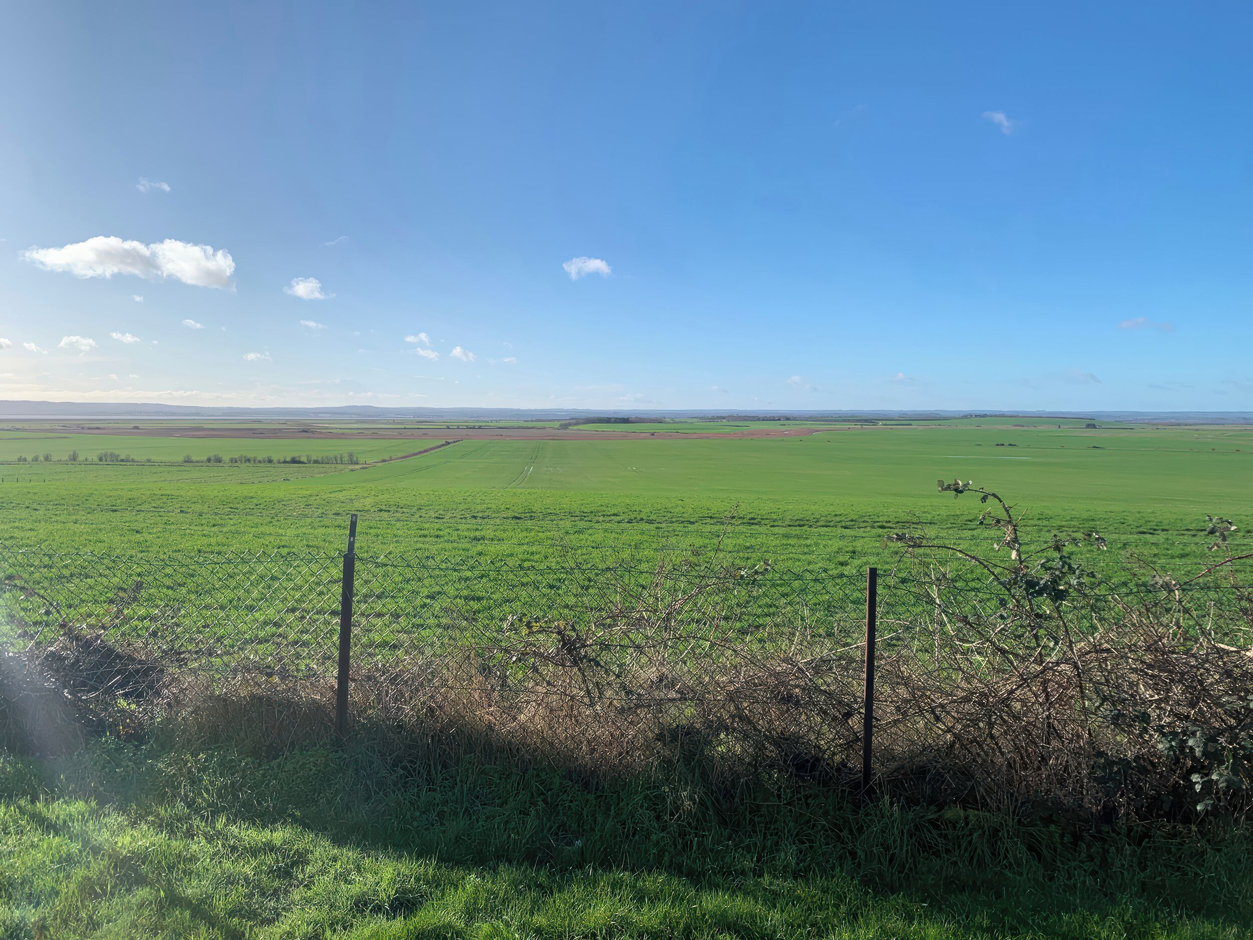Een uitgestrekt groen veld met een hek op de voorgrond.