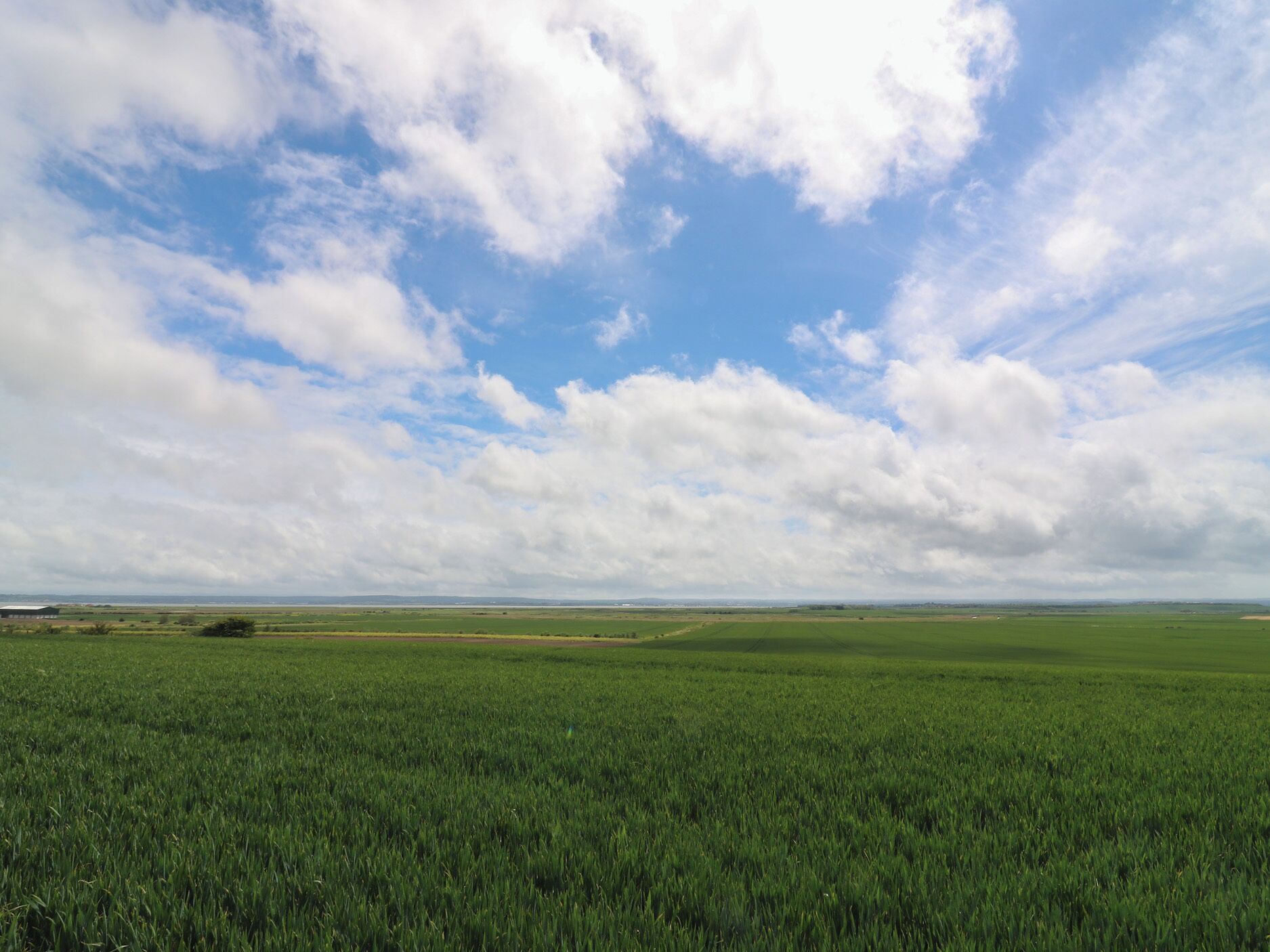 A vast green field under a partly cloudy sky.