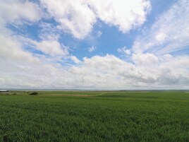 A vast green field under a partly cloudy sky.