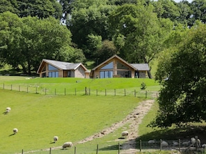 Une propriété rurale comprenant deux maisons en bois, un pâturage clôturé et des moutons qui paissent.