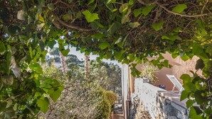 Un étroit sentier de pierre mène à un bâtiment à l’extérieur blanc et au toit rouge, entouré d’une végétation luxuriante et d’arbres.