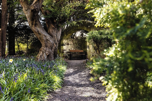 Lupin Cottage