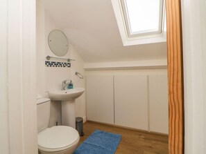 Shower - Estuary View, Newton Ferrers (Plymouth)