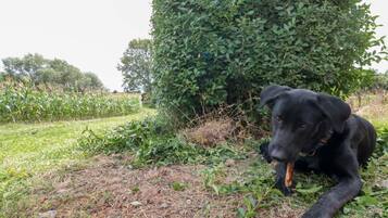 Jardines del alojamiento